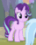 Size: 386x470 | Tagged: safe, derpibooru import, screencap, starlight glimmer, trixie, pony, unicorn, student counsel, animated, blinking, cropped, cute, gif, glimmerbetes, raised hoof, smiling, solo, solo focus