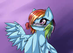 Size: 420x306 | Tagged: safe, artist:pyrogeists, rainbow dash, pegasus, pony, blushing, chest fluff, rose