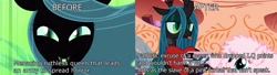 Size: 2048x553 | Tagged: safe, queen chrysalis, oc, oc:fluffle puff, changeling, changeling queen, background pony strikes again, drama, image macro, meme, op is a cuck, op is trying to start shit