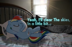 Size: 2464x1632 | Tagged: safe, artist:oppositebros, rainbow dash, pony, bed, irl, photo, ponies in real life, vector