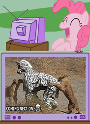 Size: 563x770 | Tagged: safe, pinkie pie, pony, exploitable meme, jackass, meme, tv meme, wild boyz