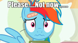 Size: 1280x718 | Tagged: safe, rainbow dash, pegasus, pony, bed, book, caption, image macro, meme