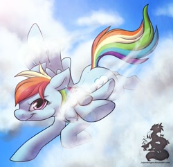 Size: 800x772 | Tagged: safe, artist:japandragon, rainbow dash, pegasus, pony, cloud, cloudy, female, flying, mare, sky, smiling, smirk, solo, trail, wings