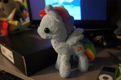 Size: 4592x3056 | Tagged: safe, artist:sparkz8d, rainbow dash, irl, photo, plushie, solo