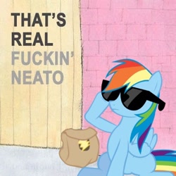 Size: 400x400 | Tagged: safe, rainbow dash, pegasus, pony, blue coat, female, mare, multicolored mane, neato, solo, sunglasses, vulgar