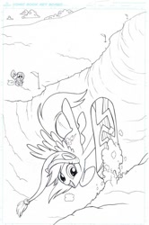 Size: 532x800 | Tagged: safe, artist:amy mebberson, idw, fluttershy, rainbow dash, pegasus, pony, comic, cover, idw advertisement, lineart, monochrome, official, official comic, original artwork