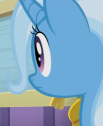 Size: 730x896 | Tagged: safe, derpibooru import, screencap, trixie, a horse shoe-in, cropped
