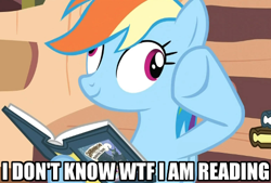 Size: 500x337 | Tagged: safe, edit, edited screencap, screencap, daring do, rainbow dash, pegasus, pony, a friend in deed, book, derp, golden oaks library, image macro, reaction image, solo, what the fuck am i reading