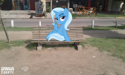 Size: 2560x1536 | Tagged: safe, artist:gradiusfanatic, derpibooru import, trixie, dog, pony, bench, irl, photo, ponies in real life, solo