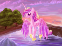 Size: 1000x750 | Tagged: safe, artist:anna-krylova, princess cadance, alicorn, pony, flying, solo, water, wet