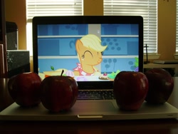 Size: 1024x768 | Tagged: safe, applejack, earth pony, pony, apple, computer, otaku date, photo, pun, solo, waifu dinner