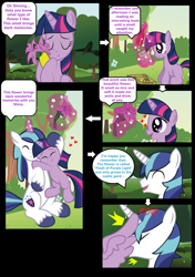 Size: 960x1360 | Tagged: safe, artist:paperlover, shining armor, twilight sparkle, twilight sparkle (alicorn), alicorn, pony, unicorn, comic:your best friend and best lover, brother and sister, female, hug, incest, infidelity, male, mare, shiningsparkle, shipping, siblings, straight