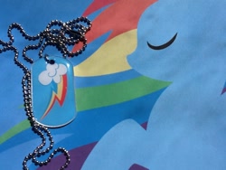 Size: 960x720 | Tagged: safe, rainbow dash, pegasus, pony, blue coat, female, jewelry, mare, multicolored mane