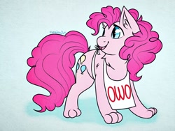 Size: 1024x768 | Tagged: safe, artist:incendiaryboobs, pinkie pie, cat, pony, apron, blue background, catified, chest fluff, clothes, cute, dawwww, ear fluff, eyelashes, female, owo, paws, pinkie cat, signature, simple background, solo, species swap