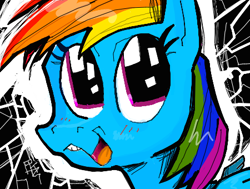 Size: 450x340 | Tagged: safe, artist:pkelton, rainbow dash, pegasus, pony, blue coat, damuro, female, mare, multicolored mane