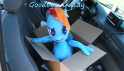 Size: 1000x571 | Tagged: safe, artist:doublebackstitcharts, rainbow dash, fanfic:my little dashie, car, irl, photo, plushie, sad