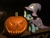 Size: 3264x2448 | Tagged: safe, artist:brekrofmadness, derpibooru import, trixie, pony, halloween, holiday, irl, jack-o-lantern, photo, plushie, pumpkin, solo