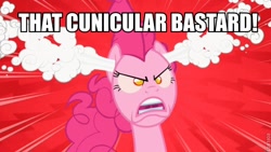 Size: 720x405 | Tagged: safe, pinkie pie, earth pony, pony, caption, image macro, rage, vulgar