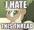 Size: 803x711 | Tagged: safe, applejack, earth pony, pony, image macro, liar face, liarjack, lying, scrunchy face, solo, thread