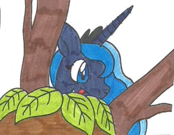 Size: 601x468 | Tagged: safe, artist:cmara, princess luna, alicorn, pony, commission, solo, traditional art, tree