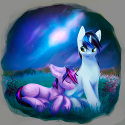 Size: 830x831 | Tagged: safe, artist:honeyapplecake, shining armor, twilight sparkle, pony, unicorn, aurora borealis, grass, night, on side, sleeping, stars