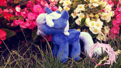 Size: 2048x1152 | Tagged: safe, artist:dixierarity, princess luna, chibi, filly, irl, lunastyczna, photo, plushie, princess