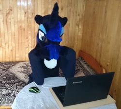 Size: 2327x2088 | Tagged: safe, princess luna, fursuit, irl, photo, polish, polish luna