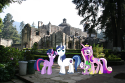 Size: 1485x990 | Tagged: safe, princess cadance, shining armor, spike, twilight sparkle, twilight sparkle (alicorn), alicorn, pony, unicorn, church, desierto de los leones national park, female, irl, male, mare, meme, mexico, mexico city, photo, ponies in real life, pose, shiningcadance, shipping, sparkle siblings, straight, tree, twily face, vector