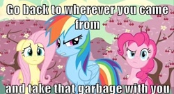 Size: 500x269 | Tagged: safe, edit, edited screencap, screencap, fluttershy, pinkie pie, rainbow dash, pegasus, pony, the last roundup, caption, cherry orchard, cherry tree, female, image macro, mare, meme, reaction image, tree, trio