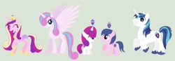 Size: 1516x527 | Tagged: safe, artist:deppressedunicorn, princess cadance, princess flurry heart, shining armor, oc, oc:gleaming shield, oc:prince star shield, oc:princess gleaming shield, oc:star shield, alicorn, pony, unicorn, spoiler:s06, family, female, male, offspring, parent:princess cadance, parent:shining armor, parents:shiningcadance, shiningcadance, shipping, simple background, straight