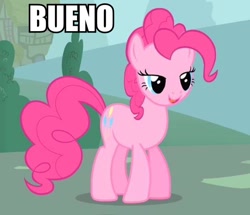 Size: 600x517 | Tagged: safe, pinkie pie, earth pony, pony, female, image macro, mare, pink coat, pink mane, solo, spanish