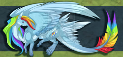 Size: 900x421 | Tagged: safe, artist:qwertydragon, rainbow dash, dragon, dragonified, feathered dragon, rainbow dragon, solo, species swap, watermark