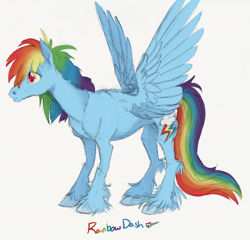 Size: 900x864 | Tagged: safe, artist:xenon, rainbow dash, pegasus, pony, realistic, solo, unshorn fetlocks