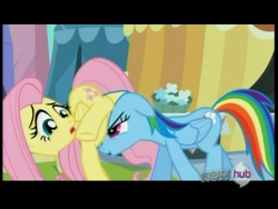 Size: 720x540 | Tagged: safe, screencap, fluttershy, rainbow dash, pegasus, pony, spoiler:s03, female, mare, wings