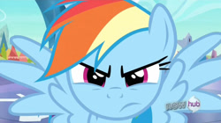 Size: 1275x714 | Tagged: safe, screencap, rainbow dash, pegasus, pony, blue coat, female, fourth wall, mare, multicolored mane, solo, wingboner