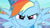 Size: 1275x714 | Tagged: safe, screencap, rainbow dash, pegasus, pony, blue coat, female, fourth wall, mare, multicolored mane, solo, wingboner