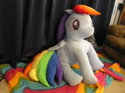 Size: 1024x766 | Tagged: safe, artist:rawrsuitgirl, rainbow dash, irl, photo, plushie