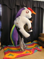 Size: 766x1024 | Tagged: safe, artist:rawrsuitgirl, rainbow dash, irl, photo, plushie