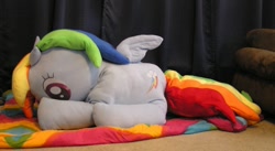 Size: 1024x560 | Tagged: safe, artist:rawrsuitgirl, rainbow dash, irl, photo, plushie