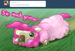 Size: 1124x758 | Tagged: safe, pinkie pie, alpaca, ask, grass, grazing, my little alpaca, solo, species swap