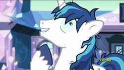 Size: 1920x1080 | Tagged: safe, screencap, shining armor, pony, unicorn, the crystalling, cracked armor, discovery family logo, it runs in the family, sleep deprivation, stubble