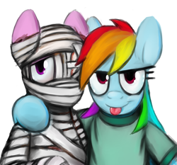 Size: 3000x2800 | Tagged: safe, artist:gordonfreeguy, bandage pony, rainbow dash, rough tumble, pegasus, pony, bandy, bandydash