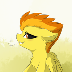 Size: 1008x1008 | Tagged: safe, artist:d.w.h.cn, spitfire, pegasus, pony, abstract background, female, lidded eyes, mare, smiling, solo