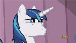 Size: 1440x810 | Tagged: safe, screencap, shining armor, pony, unicorn, the crystalling, discovery family logo, solo