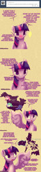 Size: 1280x5366 | Tagged: safe, artist:pshyzomancer, princess cadance, princess celestia, princess luna, twilight sparkle, twilight sparkle (alicorn), alicorn, pony, alicorn tetrarchy, comic, female, fillypines, mare, solo, tumblr