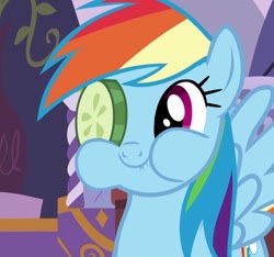 Size: 500x467 | Tagged: safe, screencap, rainbow dash, pegasus, pony, aweeg*, cucumber, cucumber monocle, cucumber pirate, cute, dashabetes, eating, female, mare, puffy cheeks, reaction image, smiling