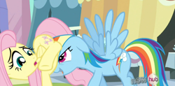 Size: 1358x667 | Tagged: safe, screencap, fluttershy, rainbow dash, pegasus, pony, the crystal empire, female, hub logo, mare, out of context, pushing, rump push