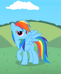 Size: 1280x1562 | Tagged: safe, artist:dbih9i, rainbow dash, pegasus, pony, female, mare, solo