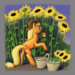 Size: 1600x1600 | Tagged: safe, artist:dahtamnay, applejack, earth pony, pony, blonde mane, female, mare, orange coat, solo, sunflower