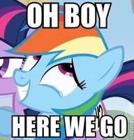 Size: 192x200 | Tagged: safe, screencap, rainbow dash, twilight sparkle, pegasus, pony, fall weather friends, image macro, oh boy here we go, reaction image